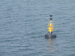 SX03472 Yellow buoy in Milford Haven.jpg